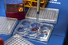 Stoiska kół naukowych,